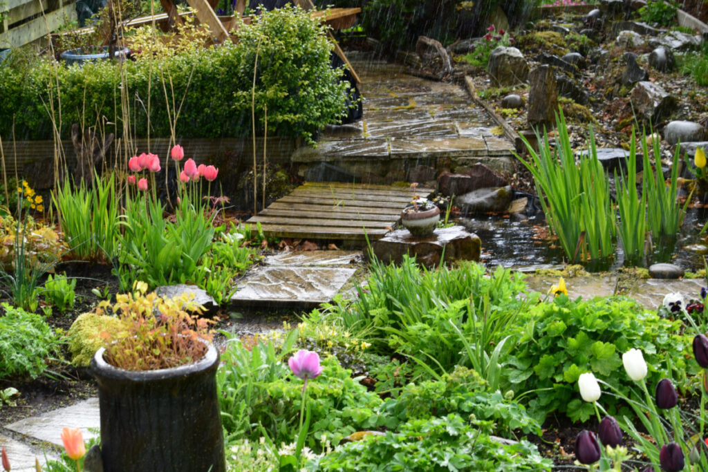 Building a rain garden - Clossick Realty MI Home Team best realtors in saline